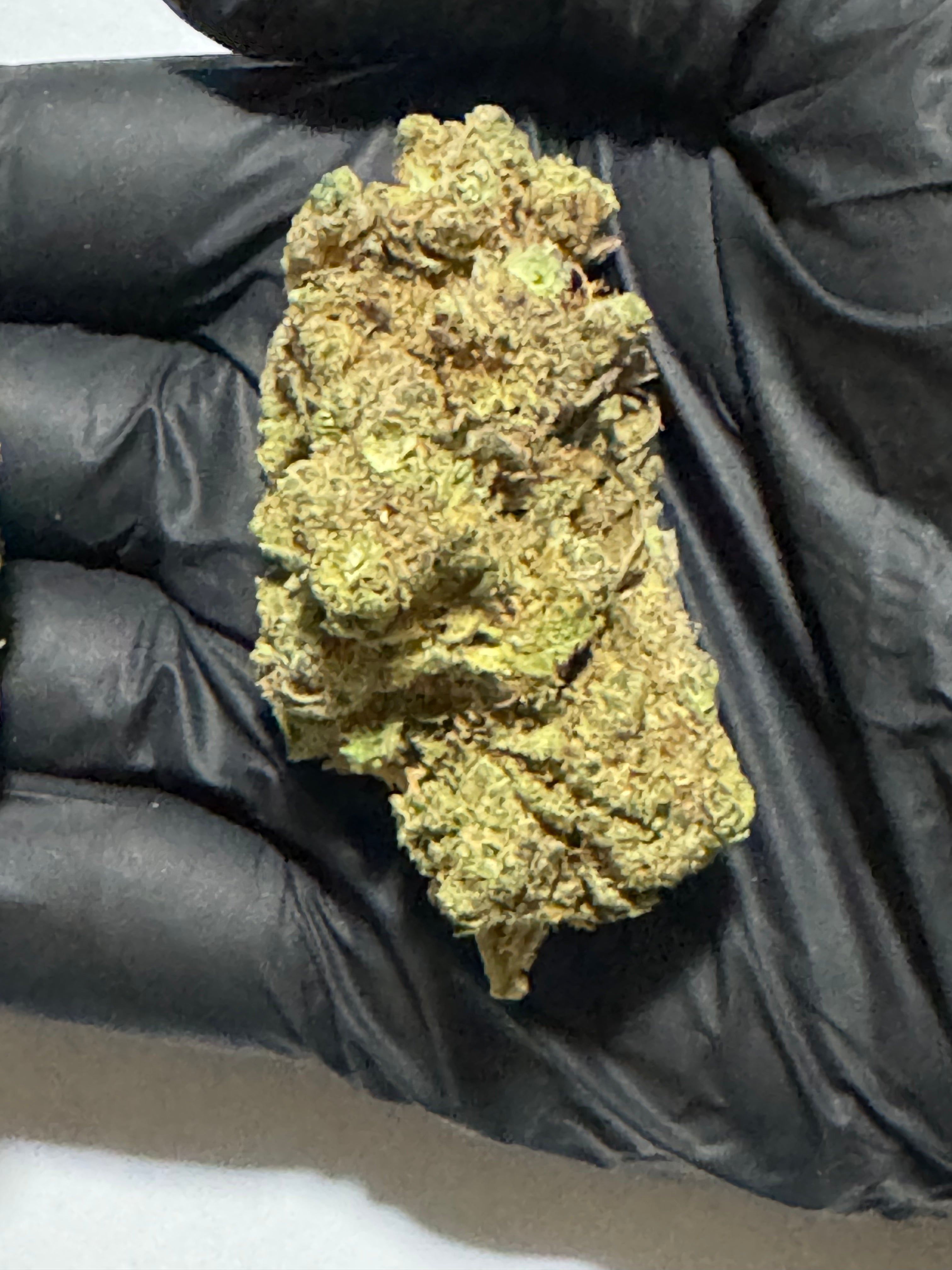 EL DORADO OG
