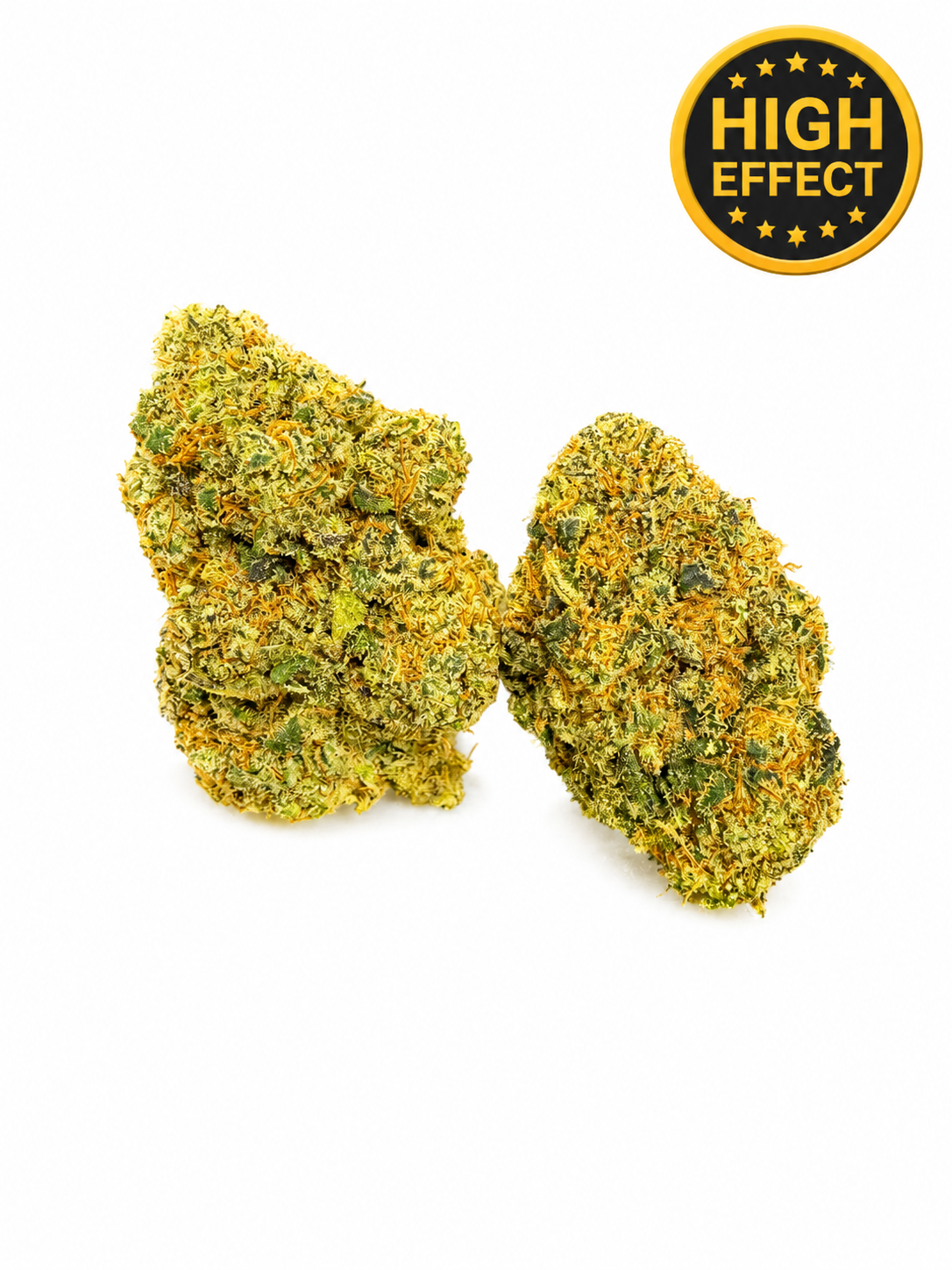 Tropical dream CBC