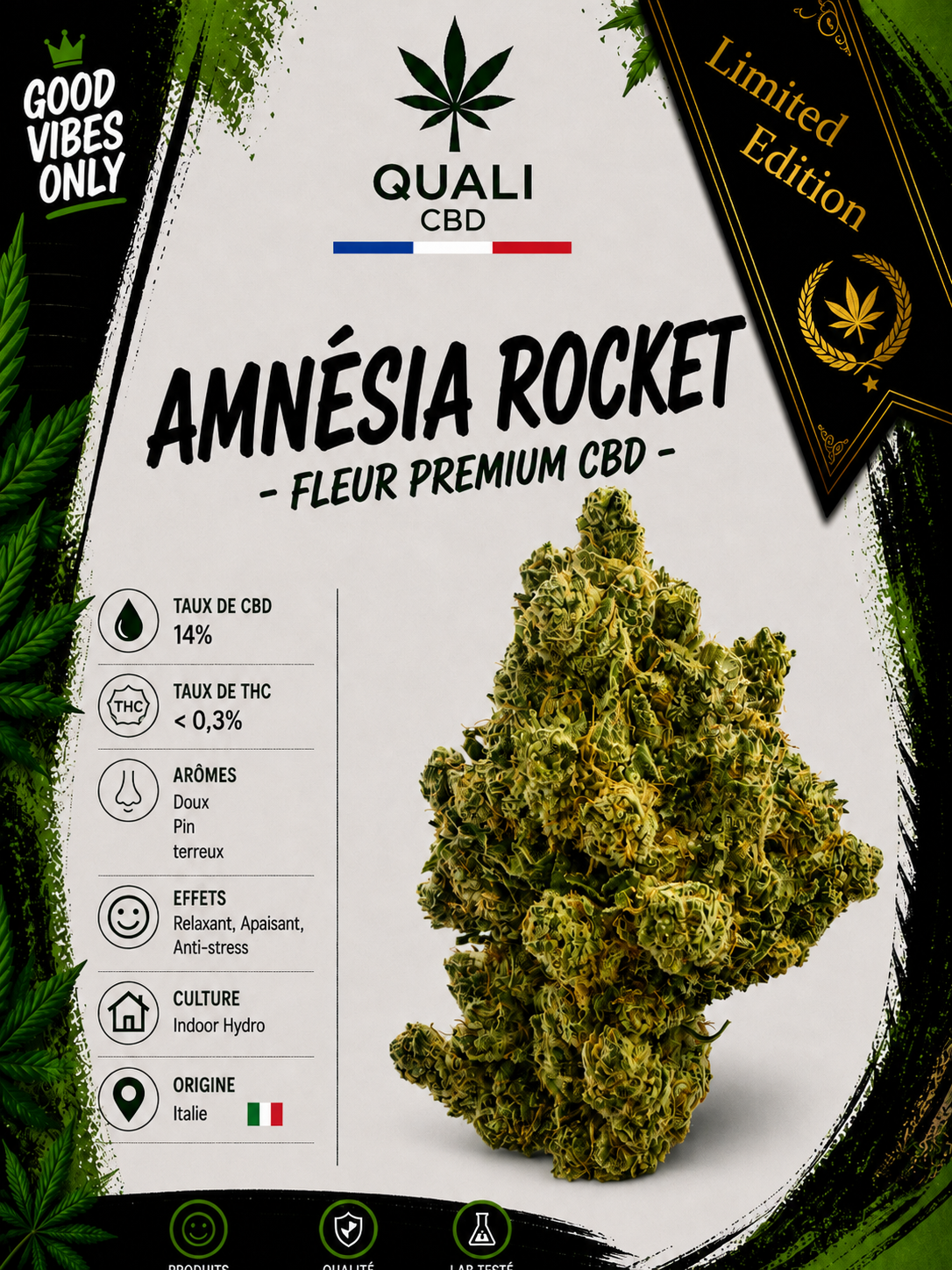 AMNÉSIA ROCKET