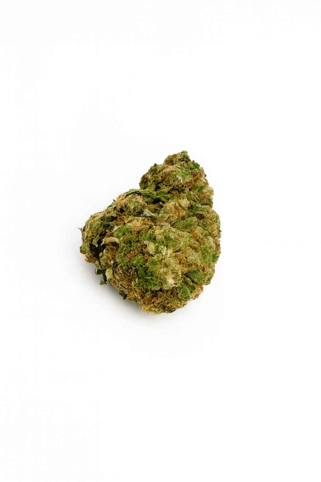 ORANGE BUD