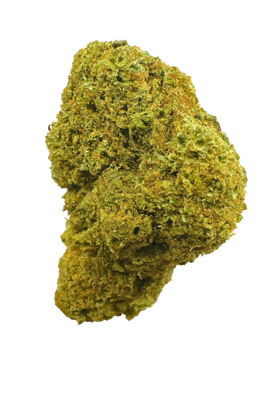 ALIEN COOKIE