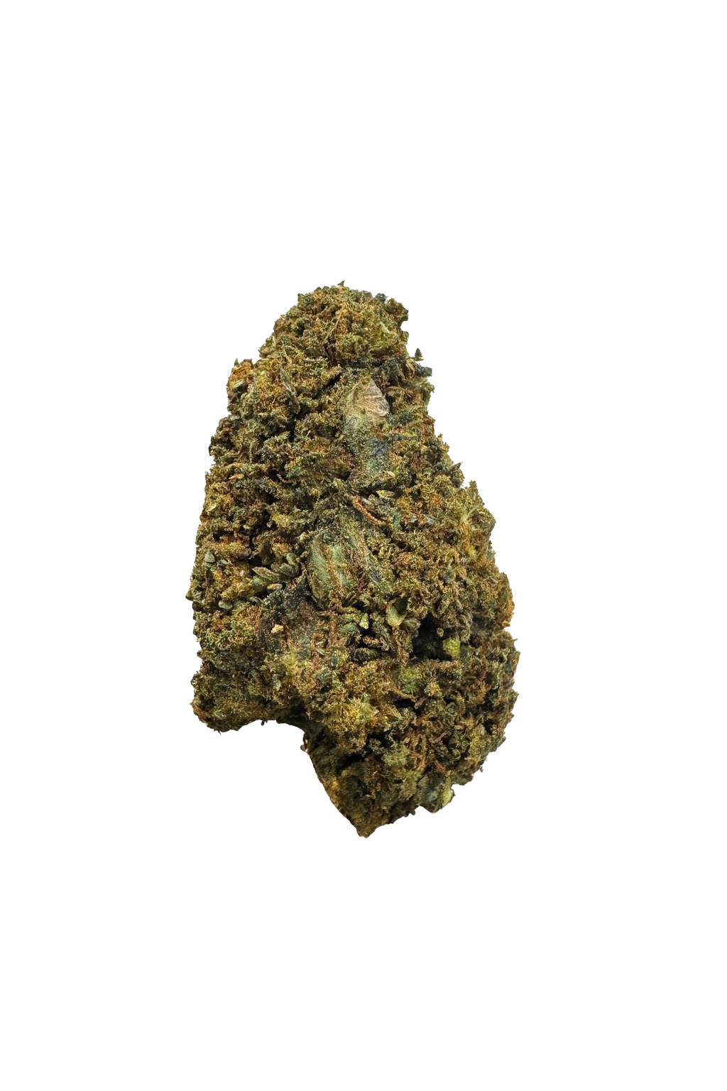 GORILLA GLUE