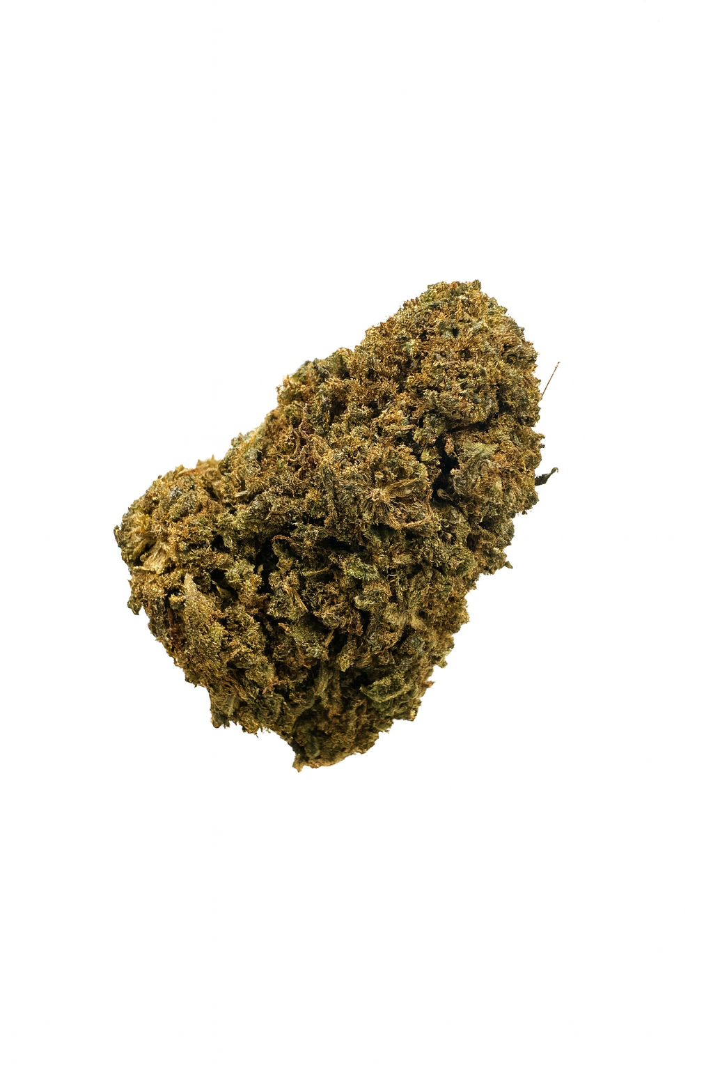 ZKITTLEZ GH