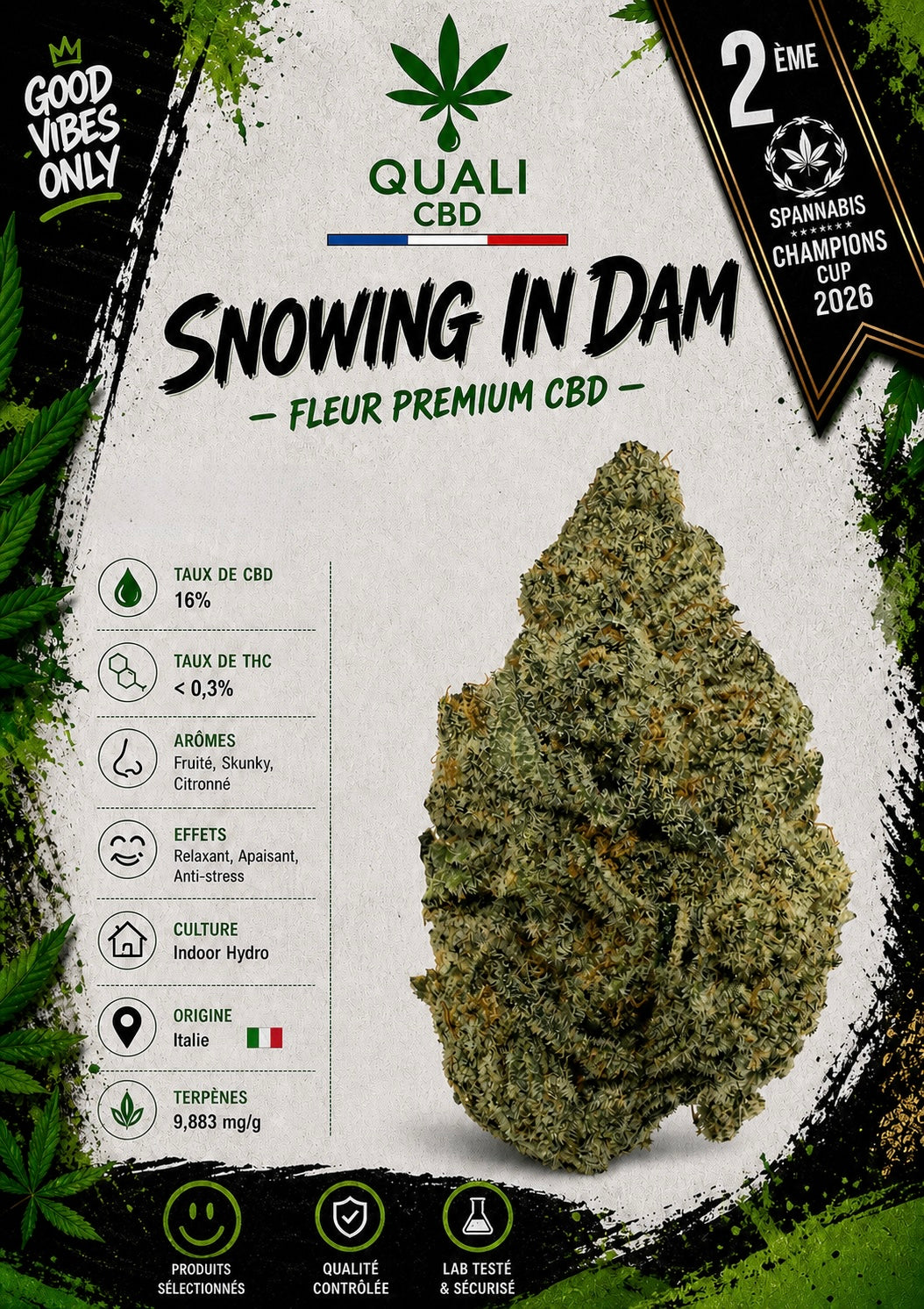 SNOWING IN DAM
