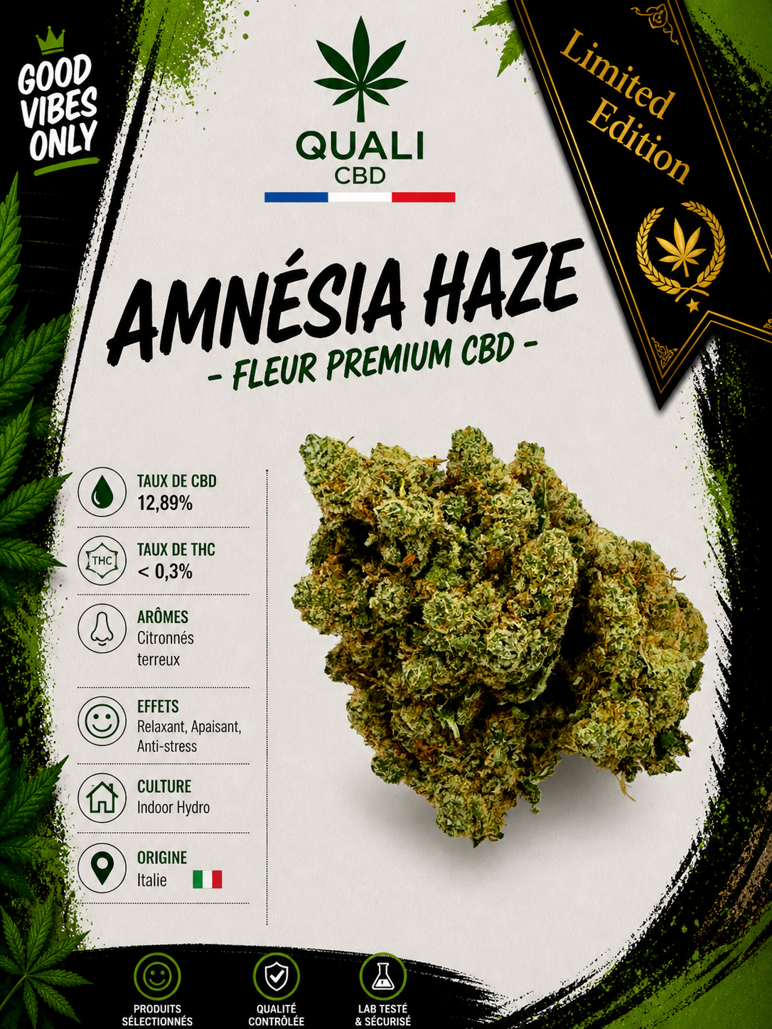 AMNÉSIA HAZE