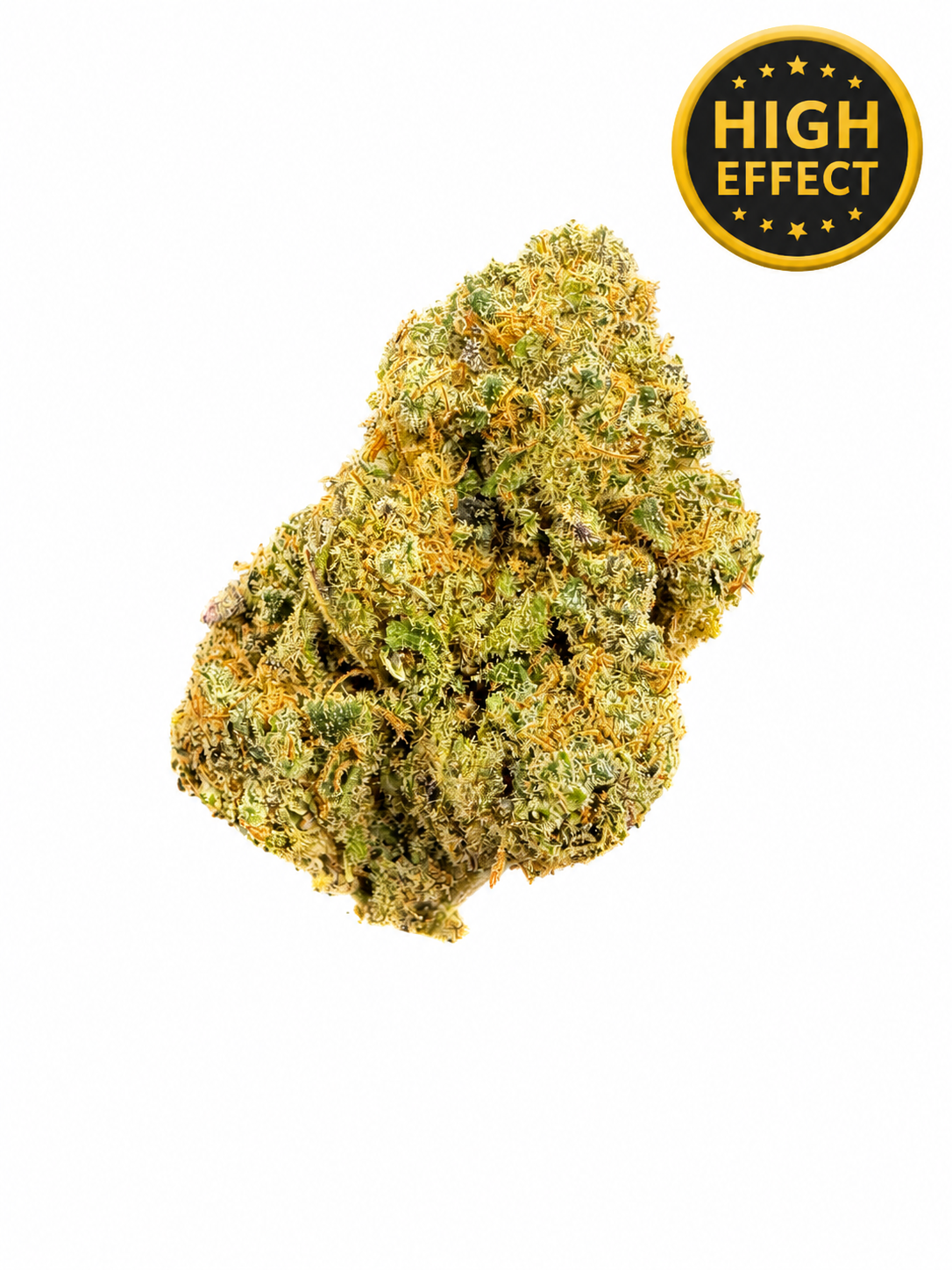 Tropical dream CBC