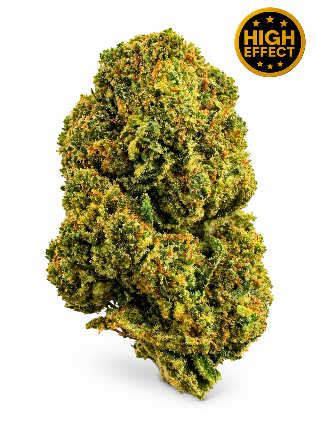 TANGIE + CBC