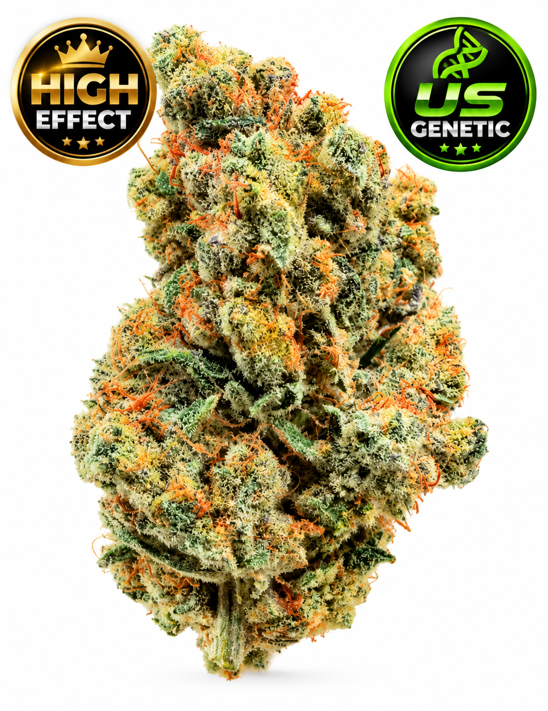 GRAPE FRUIT x PS CBC