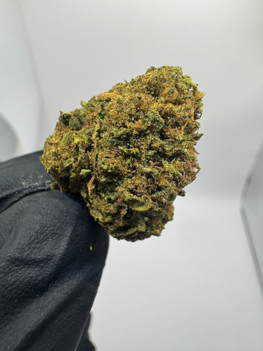 WHITE WIDOW