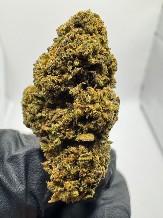 ZKITTLEZ GH