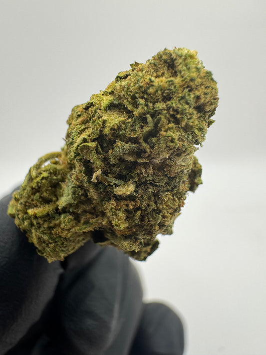 GORILLA GLUE