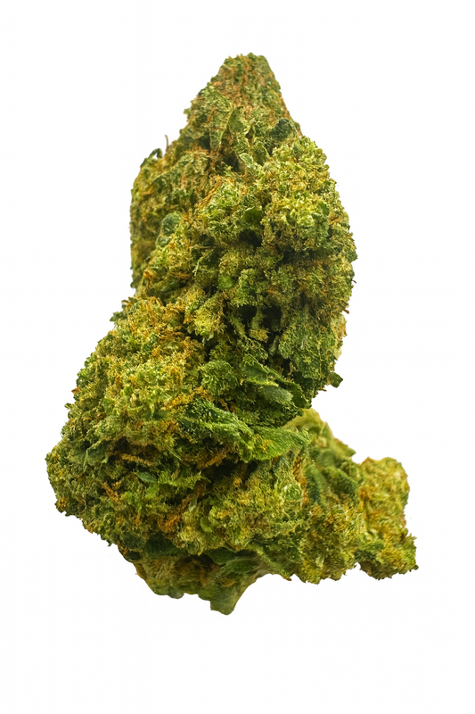 ORANGE BUD