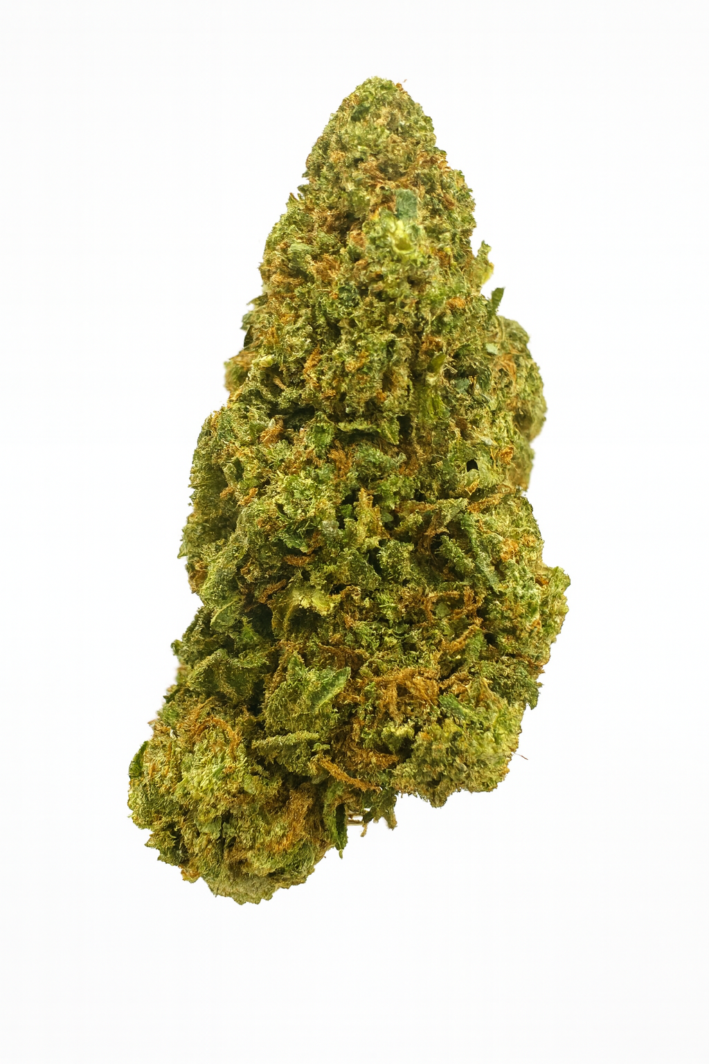 ORANGE BUD