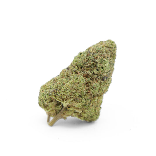 PLUTONIUM OG 10 OH+