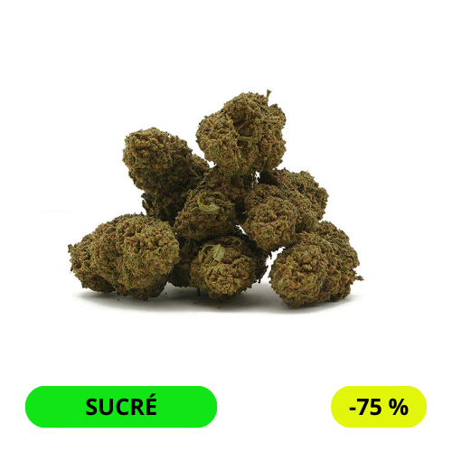 ZKITTLEZ GH