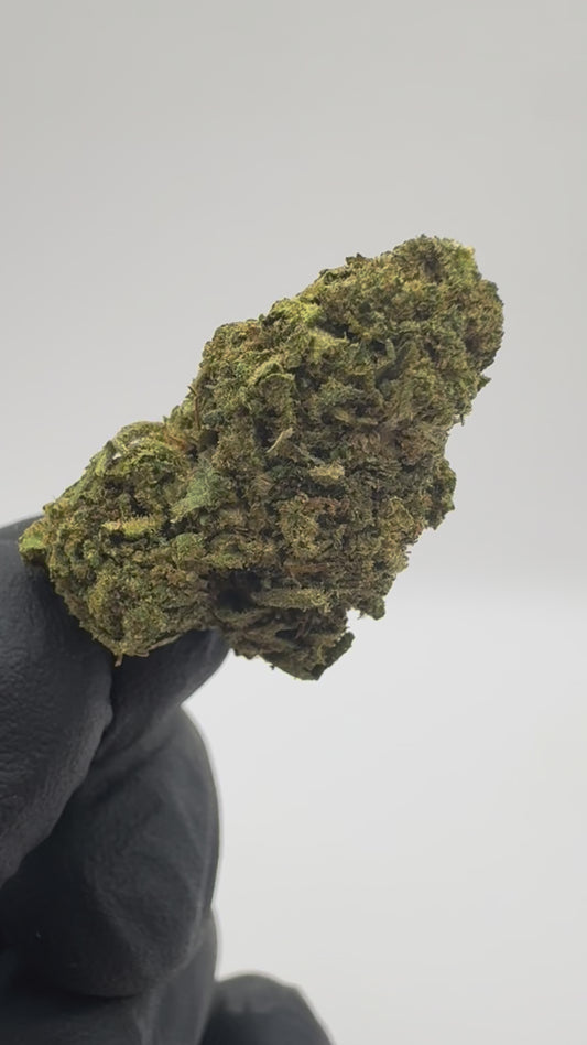GORILLA GLUE