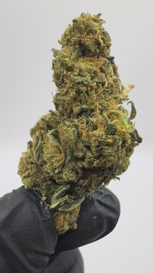 OG-KUSH