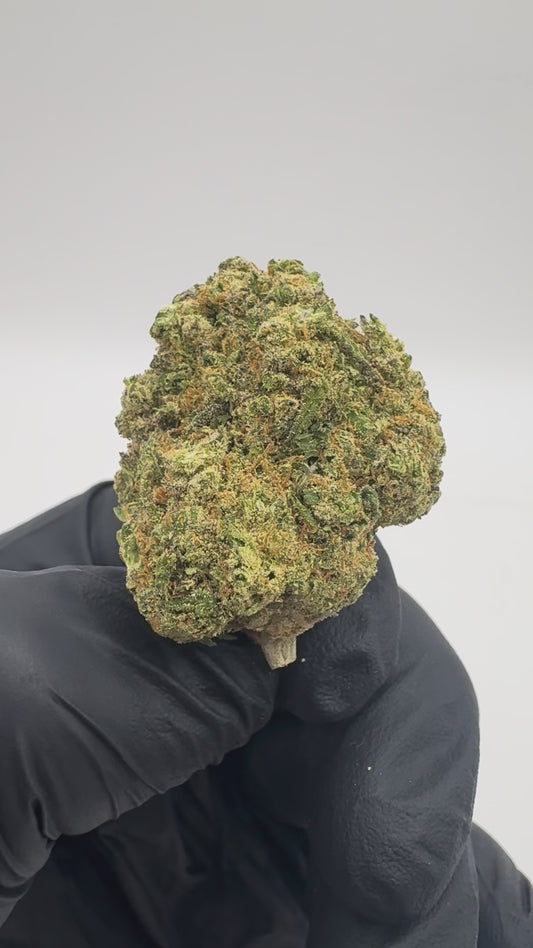 MANDARINE CALI
