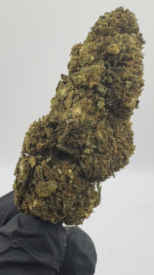 ZKITTLEZ GH