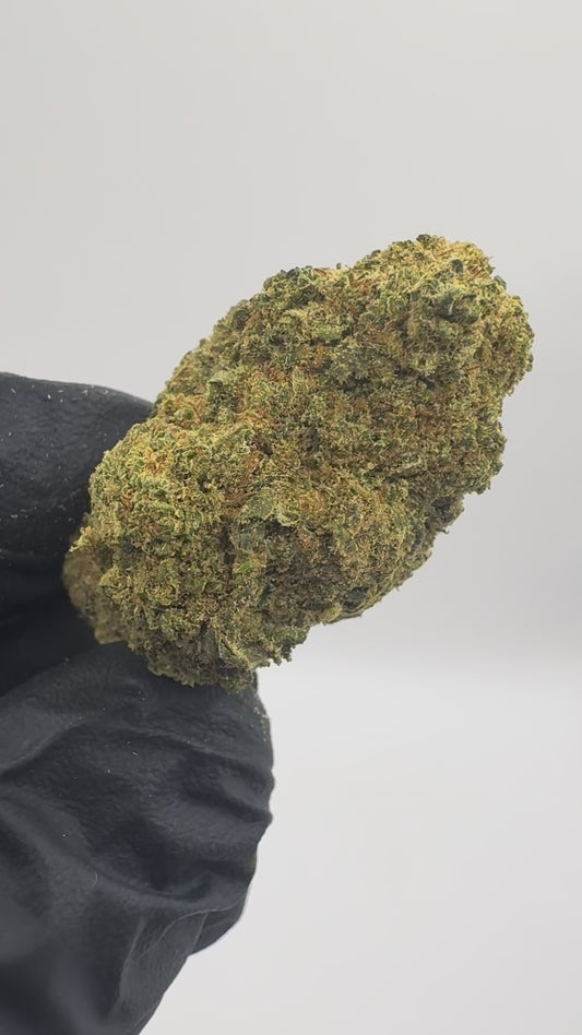 ALIEN KUSH CALI