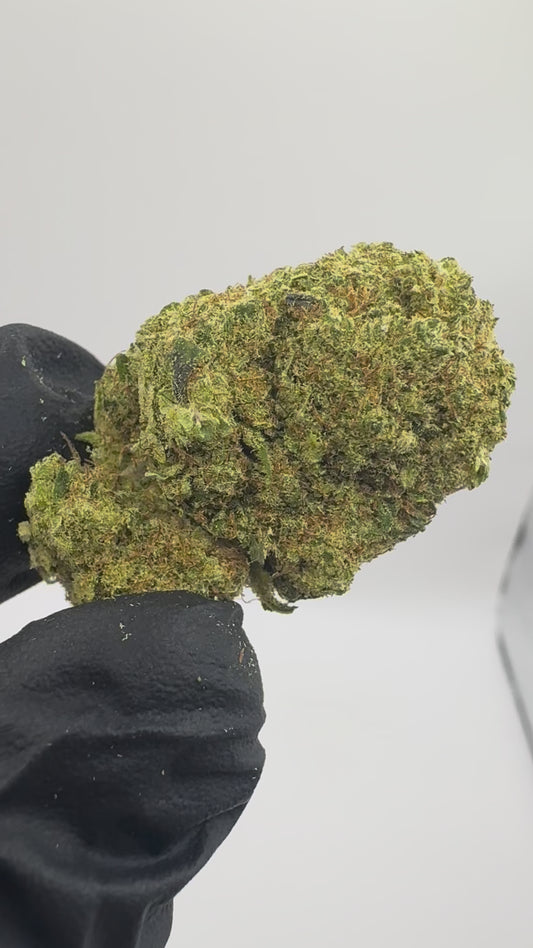KRYPTONITE CALI