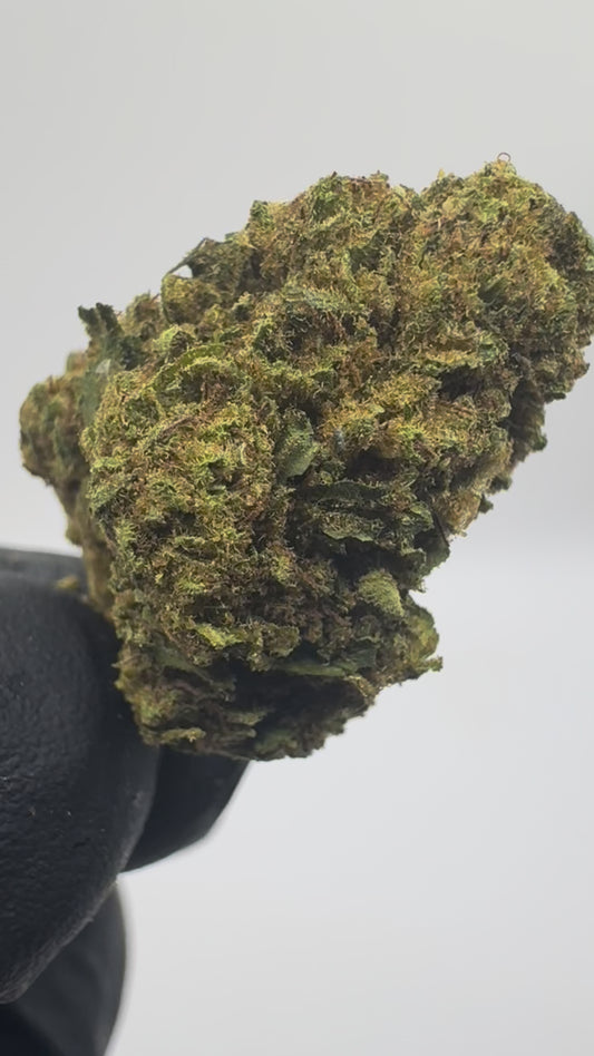 WHITE WIDOW