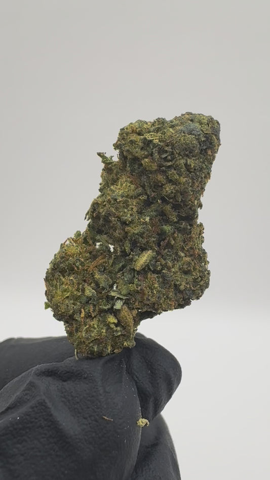 TROPICAL KUSH 10 OH+
