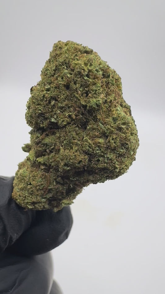 ALIEN COOKIE