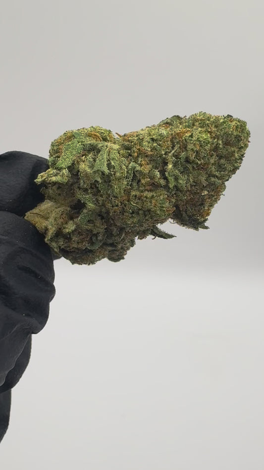 CALIFORNIA KUSH