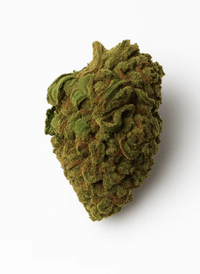 skittlez_cbd QUALICBD